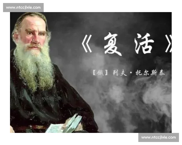 死寂vs未来对决揭示文明存亡与人性极限之战深空暗影下的终极抉择